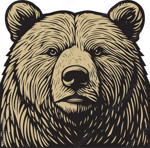 Woodcut Style Bear Face - Vector