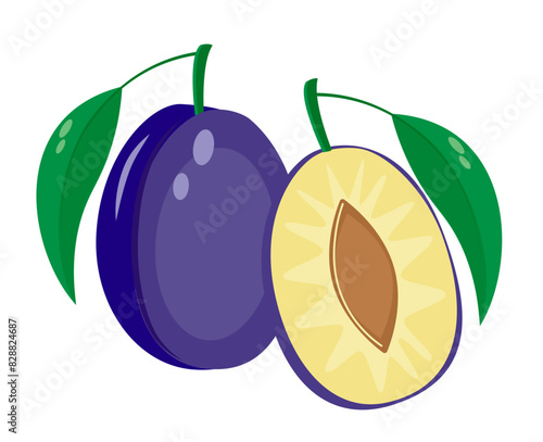 Fresh juicy plum. Vector illustration of fruits.