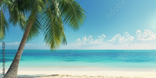 This idyllic scene captures a single palm tree leaning over a pristine sandy beach with crystal-clear waters and a clear blue sky © gunzexx png and bg
