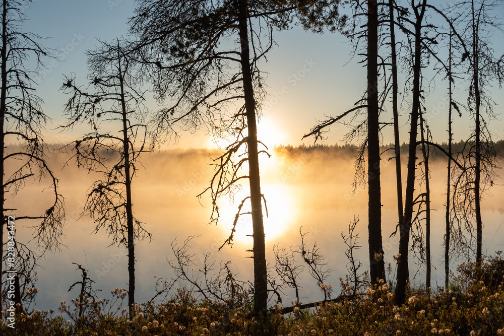 sunrise, sunset landscape by the swamp lake, morning fog, golden hour, reflections in the water, traditional swamp lake vegetation sunrise, sunset landscape by the swamp lake, morning fog, golden hour, reflections in the water, traditional swamp lake vegetation