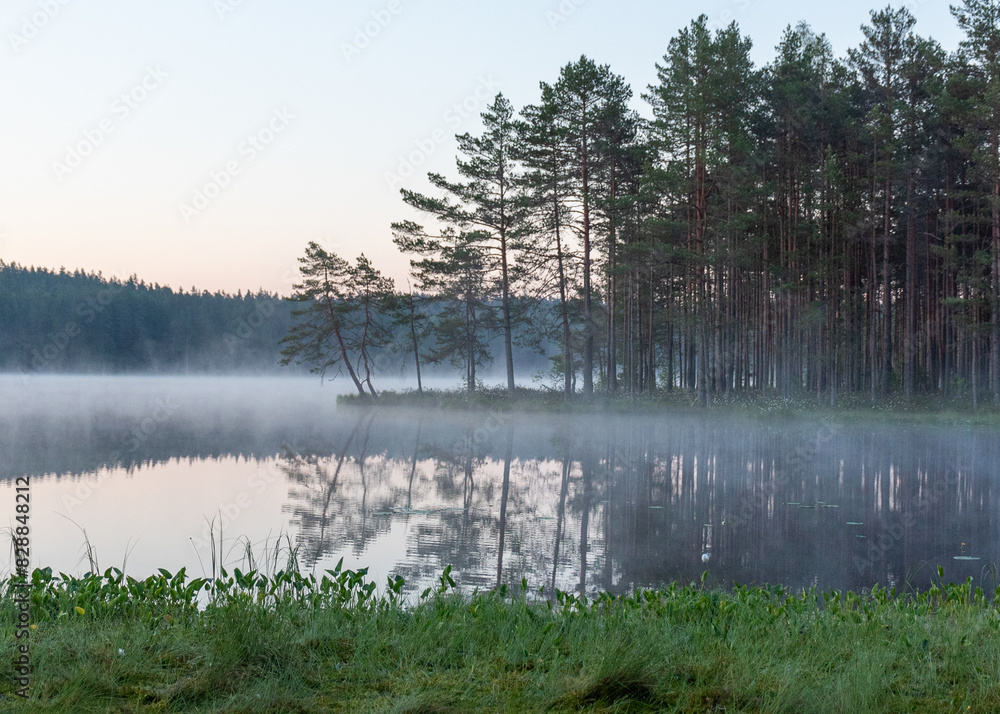 landscape with lake in fog, swamp lake, fog background landscape with lake in fog, swamp lake, fog background
