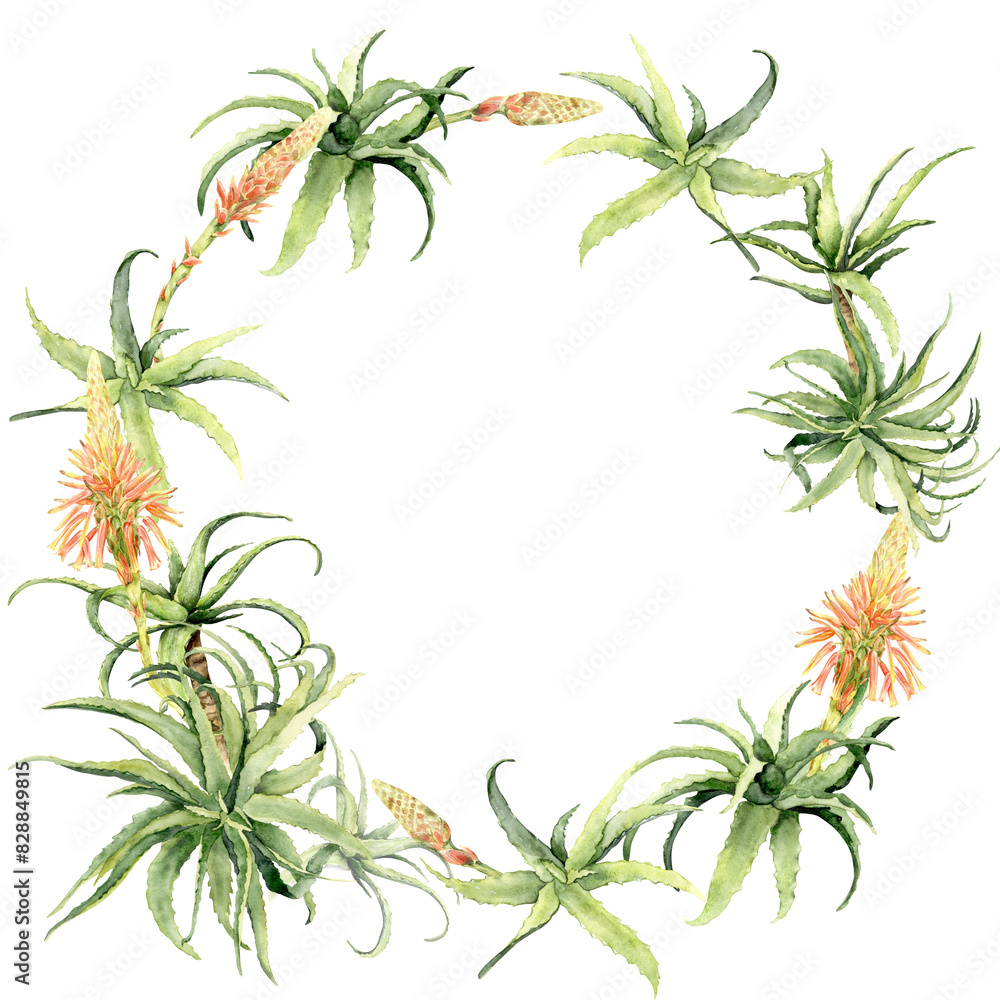 A circular frame with green aloe A circular frame with green aloe