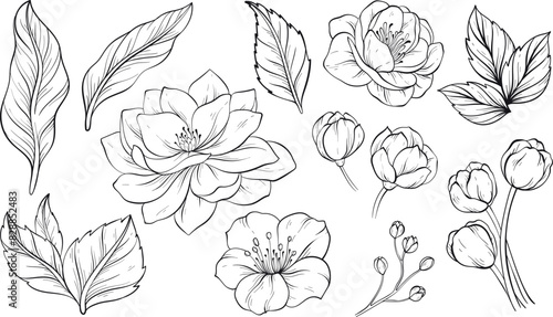 Set of design elements with decorative flowers.