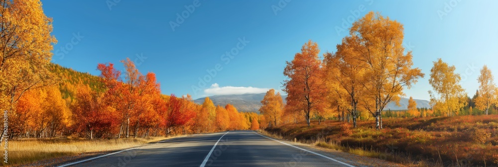 A picturesque panorama of a road winding through a forest with trees in the full array of autumn colors