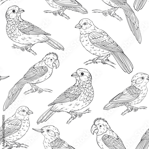 Seamless pattern with various birds types