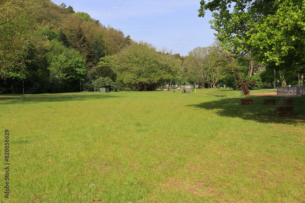 Naklejka premium blick in den luisenpark in bad bergzabern