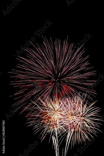 Fireworks Against a Dark Night Sky