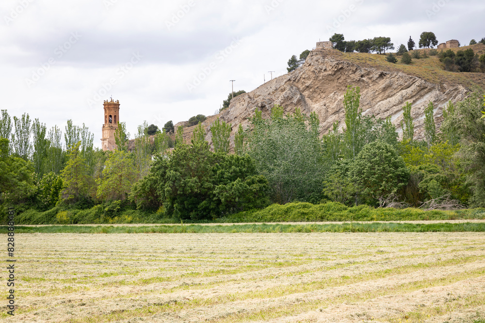 a view to the church and the castle hill of Peralta (Azkoien), merindad of Olite, province of Navarra, Spain