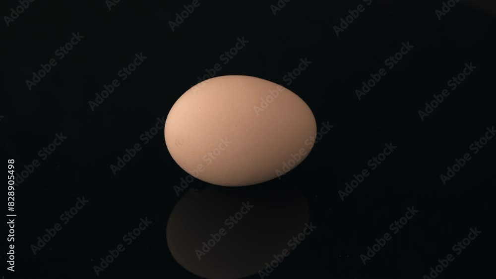 One egg isolated on dark background. Fresh egg rotating. One egg isolated on dark background. Fresh egg rotating.