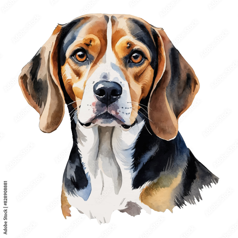 Beagle Dog Hand Drawn Watercolor Painting Illustration Beagle Dog Hand Drawn Watercolor Painting Illustration