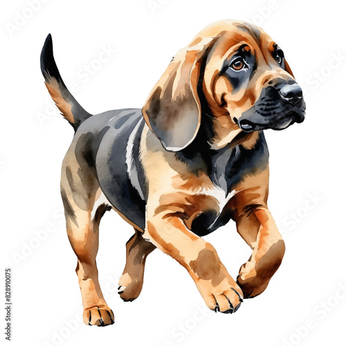 Bloodhound Dog Puppy Hand Drawn Watercolor Painting Illustration