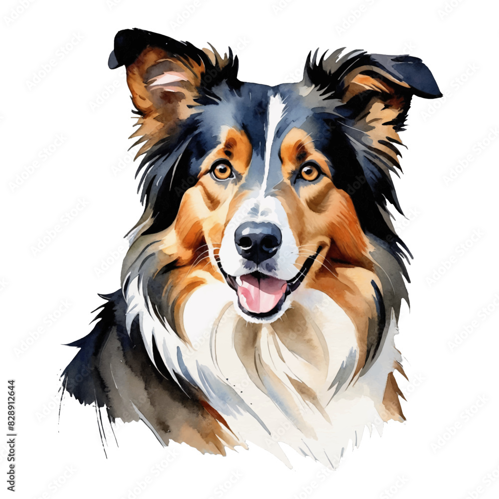 Collie Dog Hand Drawn Watercolor Painting Illustration