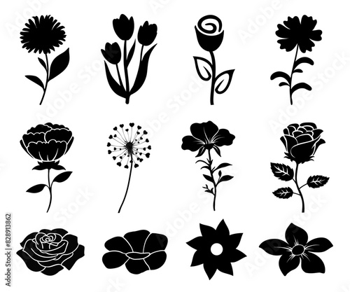 Flowers icon set, flower silhouette isolated, flowers in simple style