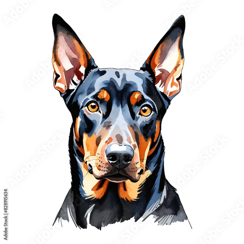Dobermann Dog Hand Drawn Watercolor Painting Illustration