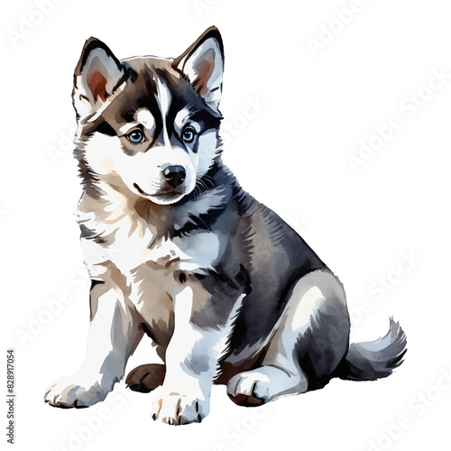 Husky Dog Puppy Hand Drawn Watercolor Painting Illustration