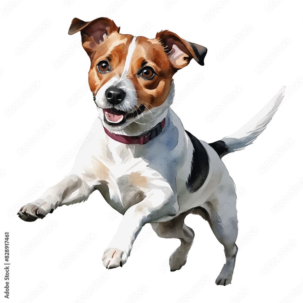 Jack Russel Dog Hand Drawn Watercolor Painting Illustration