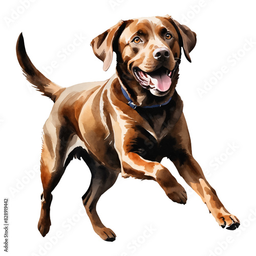Brown Labrador Retriever Dog Hand Drawn Watercolor Painting Illustration