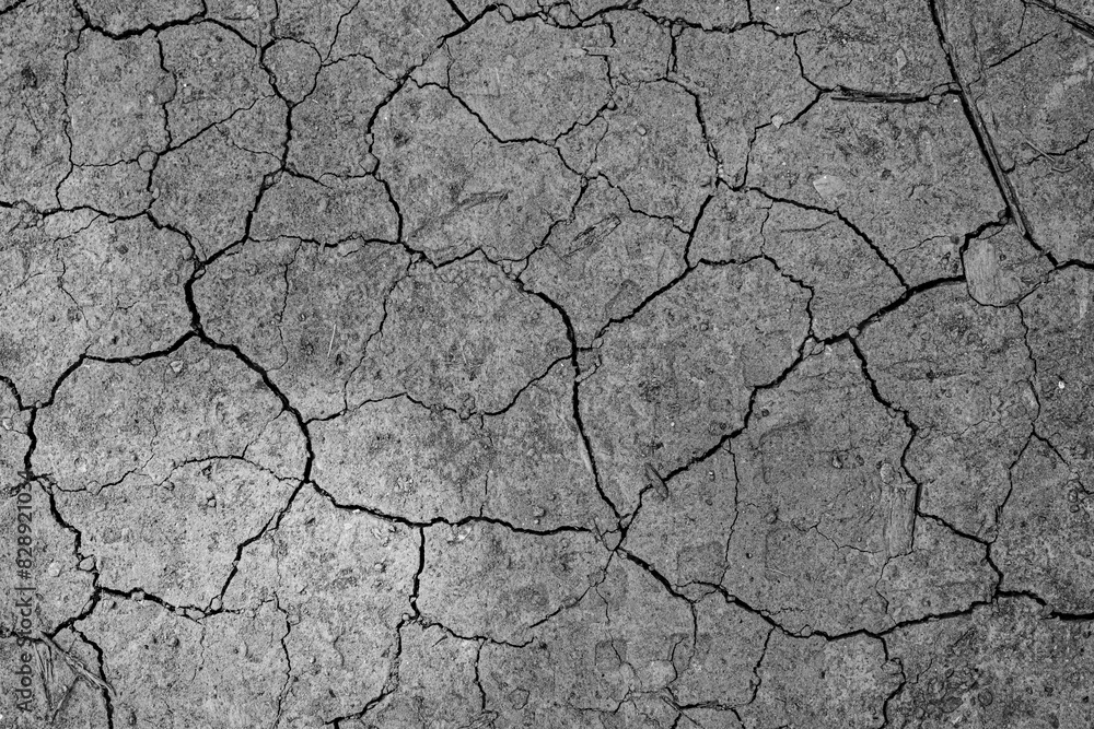 textured dry cracked soil textured dry cracked soil