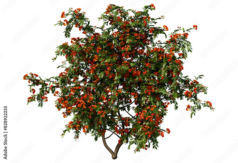 3D render ivy with colorful flowers On a transparent background 3D render ivy with colorful flowers On a transparent background