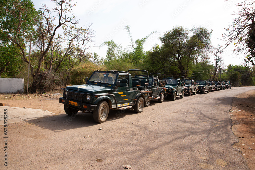 PANNA, INDIA-MAY 04: Tourist Safari jeeps waiting in line near main gate of Panna Tiger Reserve, Madhya Pradesh, India on May 04, 2024 PANNA, INDIA-MAY 04: Tourist Safari jeeps waiting in line near main gate of Panna Tiger Reserve, Madhya Pradesh, India on May 04, 2024
