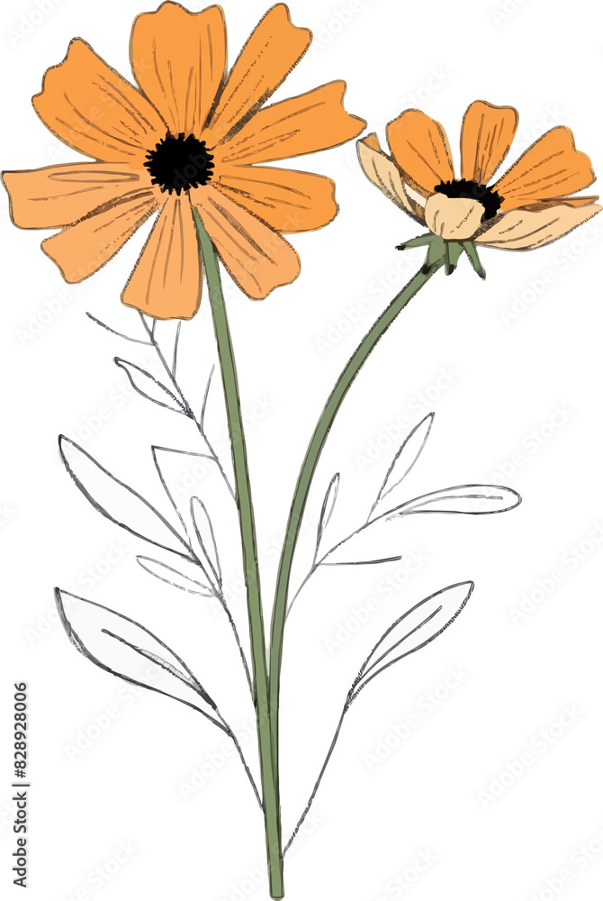 Manilas Spring Wild Flower line Art Style Manilas Spring Wild Flower line Art Style