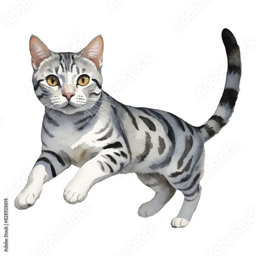 American Shorthair Cat Jumping or Running Hand Drawn Watercolor Painting Illustration