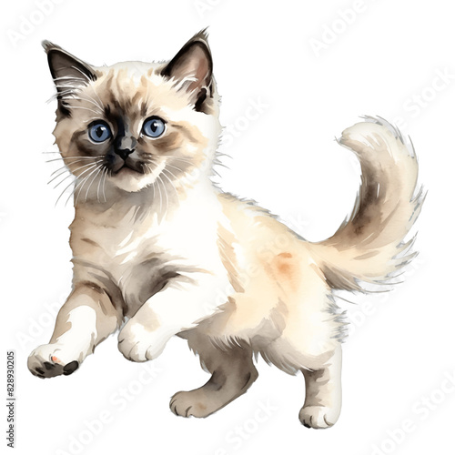 Birman Cat Kitten Jumping or Running Hand Drawn Watercolor Painting Illustration