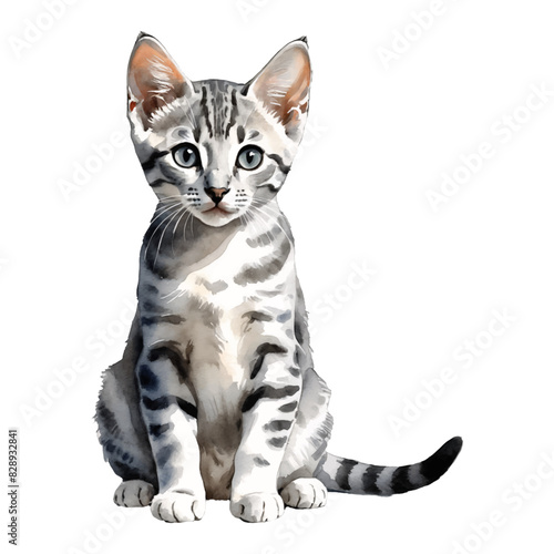 Egyptian Mau Cat Kitten Hand Drawn Watercolor Painting Illustration