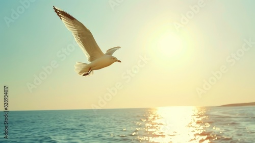 A seagull soars above the ocean during the warm season © Emin