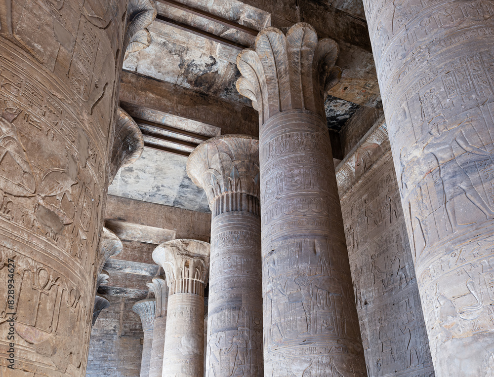 The Temple of Edfu at Aswan Egypt. The Temple of Edfu at Aswan Egypt.
