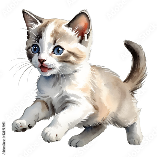 Snowshoe Cat Kitten Hand Drawn Watercolor Painting Illustration