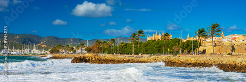 Obraz na płótnie Panoramic view of Palma de Majorca, Mallorca, Balearic Islands, Spain w salonie