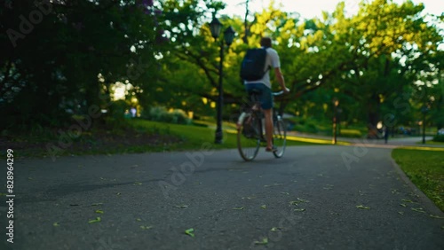 Wallpaper Mural Strolling on a serene park pathway, enveloped by lush green trees in the tranquil evening ambiance Torontodigital.ca