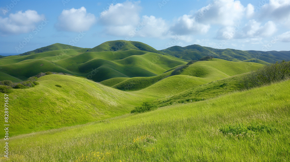 landscape with green hills and blue sky