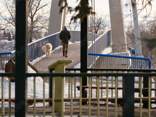 Winter Walk with a Dog in Calgary
