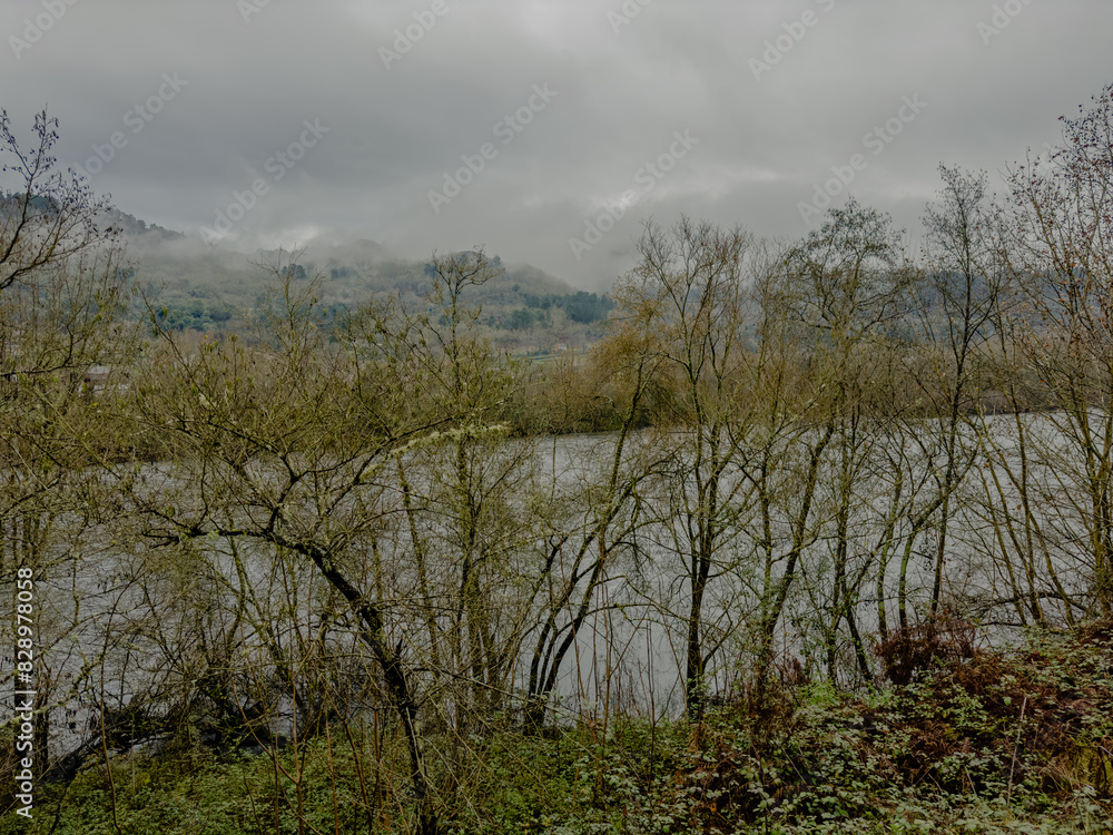 Misty River View Through Bare Winter Branches Misty River View Through Bare Winter Branches
