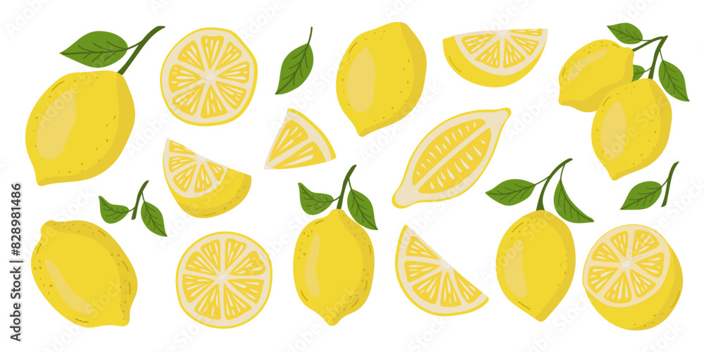 Fresh citrus, half sliced lemons and chopped lemon. Cut lemons. Fresh citrus, half sliced lemons and chopped lemon. Cut lemons.