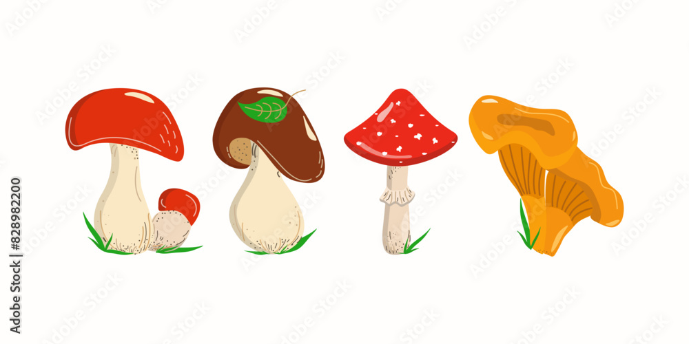Set of edible and poisonous mushrooms. Chanterelles, porcini mushrooms, fly agarics. Doodle drawings. Types of forest mushrooms. Organic food. Edible mushroom. Set of edible and poisonous mushrooms. Chanterelles, porcini mushrooms, fly agarics. Doodle drawings. Types of forest mushrooms. Organic food. Edible mushroom.