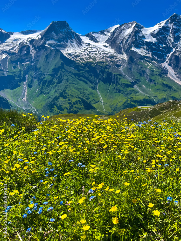 Fototapeta premium Landscapes from Grossglockner High Alpine Road in the national Park 