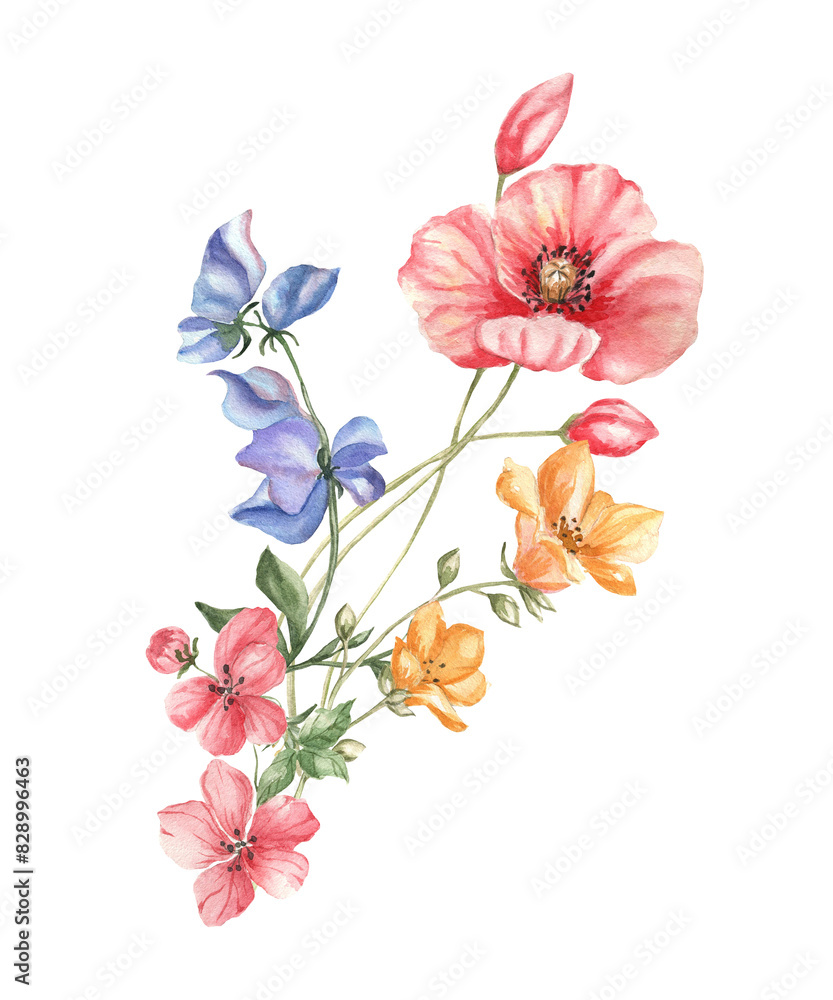 Watercolor illustration of wild summer flowers.
Can be used to create cards and invitations.
Poppies and bluebell flowers. 
