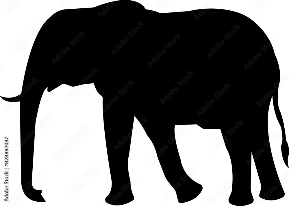elephant wild animal icon vector, sign, symbol, logo, editable stroke, flat design style isolated on transparent background. elephant silhouette side view use for web and app. elephant wild animal icon vector, sign, symbol, logo, editable stroke, flat design style isolated on transparent background. elephant silhouette side view use for web and app.