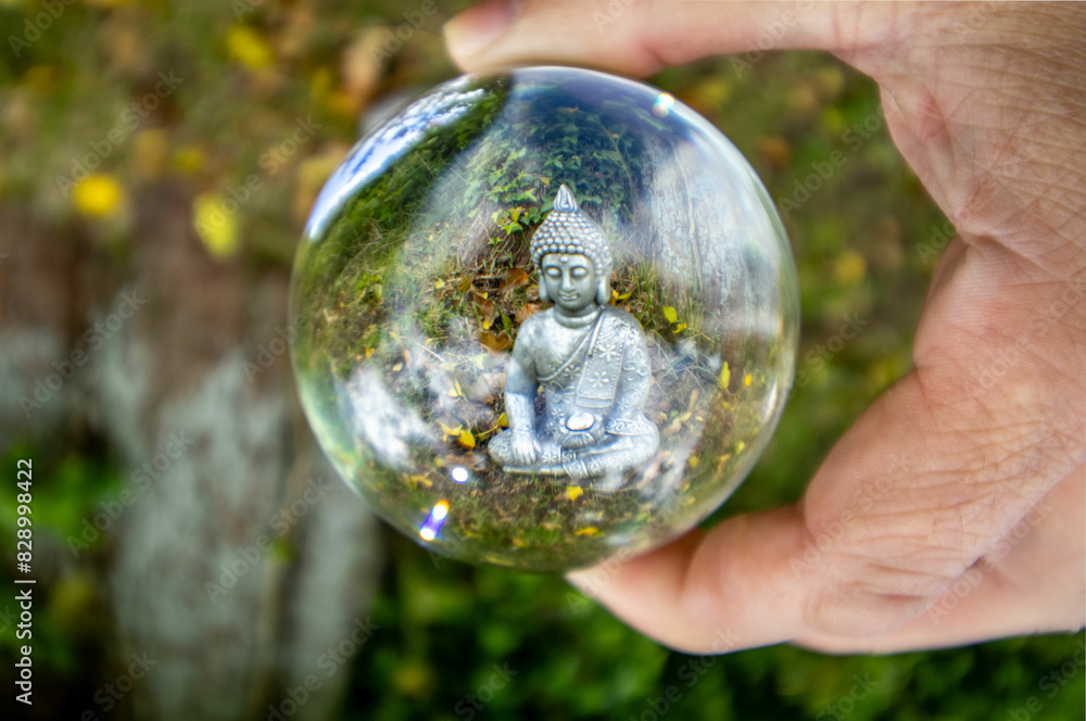 Hand Holding Lens Ball Reflecting Buddha Image
