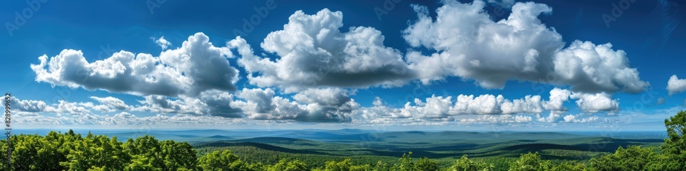 Tree Tops And Blue Sky. Beautiful Countryside Scenic View with Green Trees and Cloudy Blue Sky Tree Tops And Blue Sky. Beautiful Countryside Scenic View with Green Trees and Cloudy Blue Sky