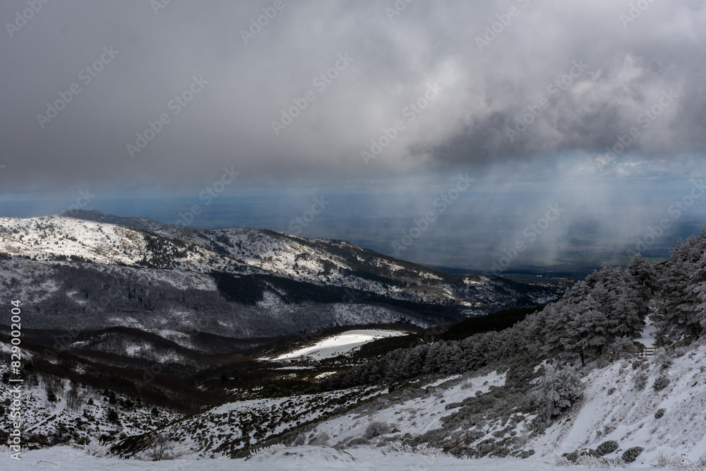 Nieve Nieve