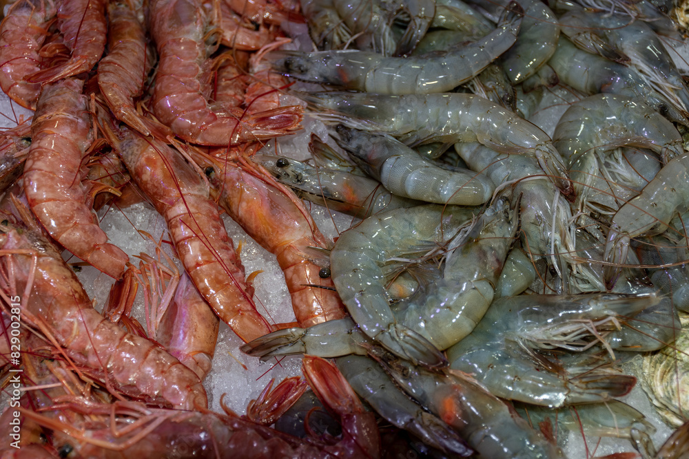 Langostinos Langostinos