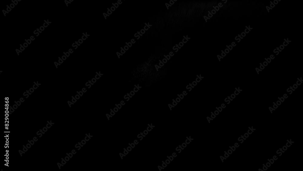 Brush B Text Animation Logo, Letters B bb Logo Videos With Sand Effects Animation For Business Brush B Text Animation Logo, Letters B bb Logo Videos With Sand Effects Animation For Business