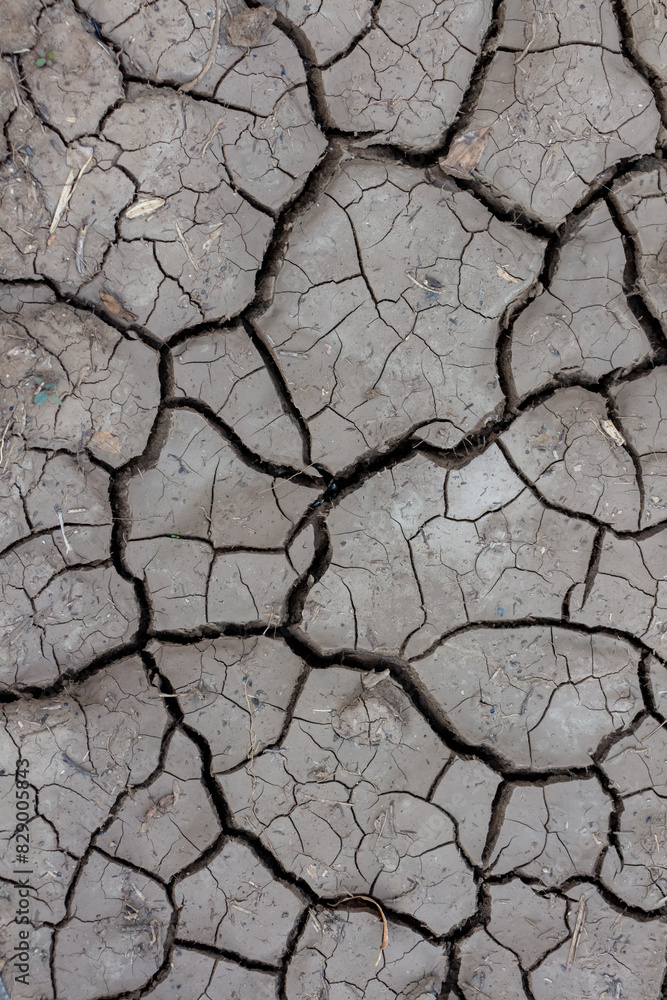 Close-up top view of dry dark grey cracked clay land surface in a summer day. Abstract weather background. Soft focus. Copy space. Drought and climate change theme. Close-up top view of dry dark grey cracked clay land surface in a summer day. Abstract weather background. Soft focus. Copy space. Drought and climate change theme.