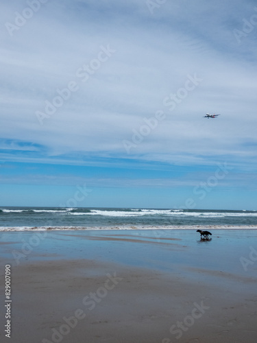 hendaye waves photo