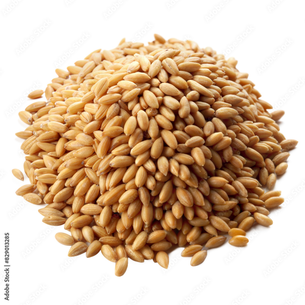 Close-Up View of a Pile of Wheat Grains Isolated on a Transparent Background Close-Up View of a Pile of Wheat Grains Isolated on a Transparent Background