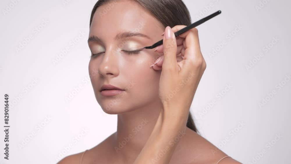 Makeup artist applies eyeliner. The concept of aesthetic cosmetology and makeup. Makeup artist applies eyeliner. The concept of aesthetic cosmetology and makeup.